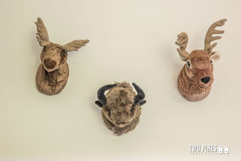 98 Pheasant Tail Unit 3-4724