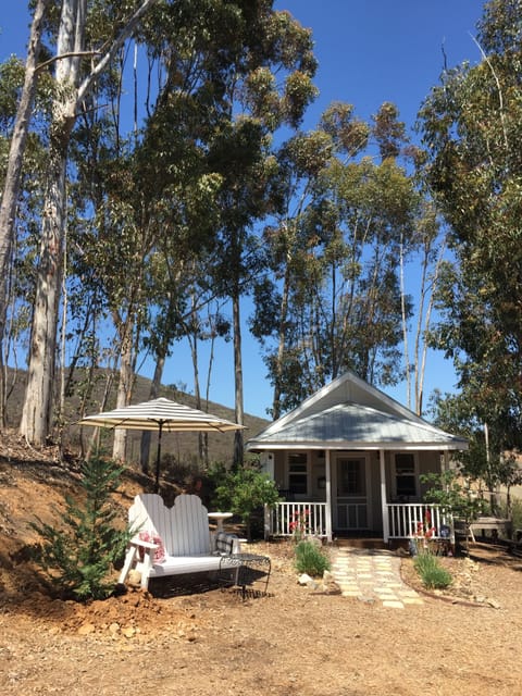 This is Hummingbird Cottage nestled in tall Eucalyptus trees. Private and sweet.