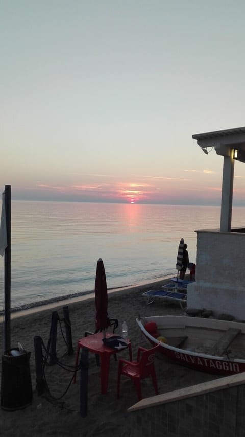 Sun loungers, beach towels