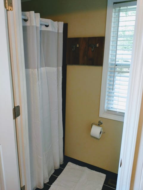 Combined shower/tub, hair dryer, towels