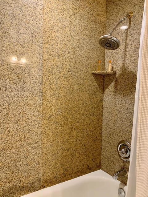 Combined shower/tub, hair dryer, towels