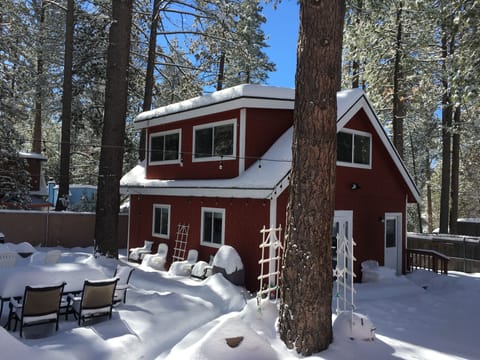 Perfect snowplay yard!