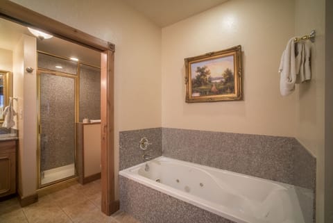 Shower, jetted tub, hair dryer, towels