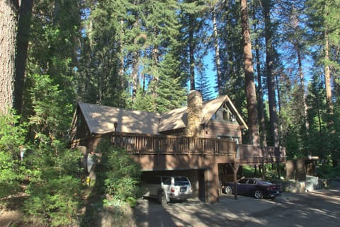 Enjoy this family-friendly cabin surrounded by tall pines