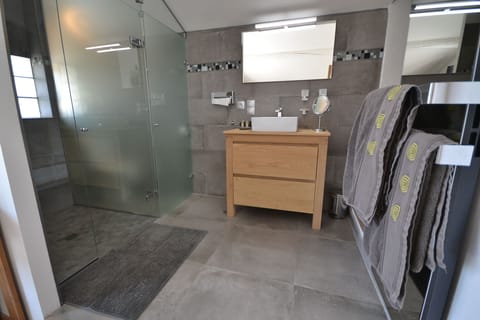 Combined shower/tub, jetted tub, hair dryer