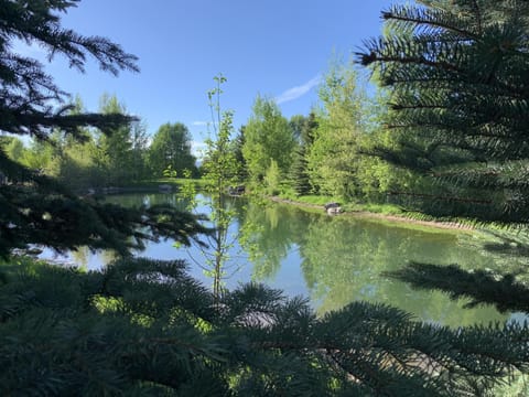 View from the back deck of the pond adjacent to the property 