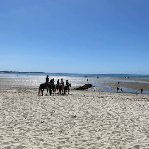 On the beach