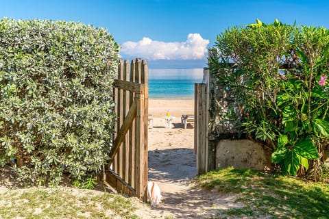 On the beach, sun loungers, beach towels