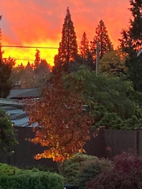 Morning and evening views 