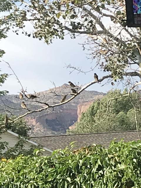 Cozy quiet Fruita retreat