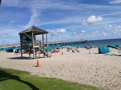 Sun loungers, beach towels