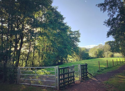 Large fenced dog exercise area