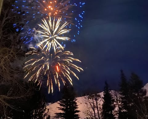 Fireworks from the Living Area window