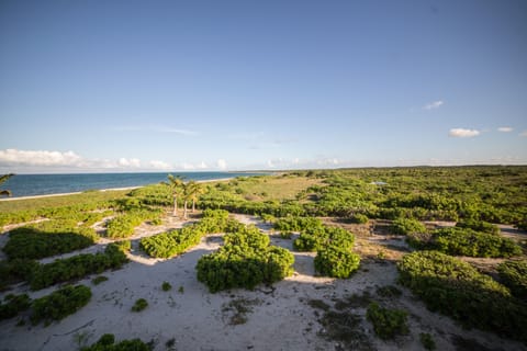 On the beach, sun loungers, beach towels