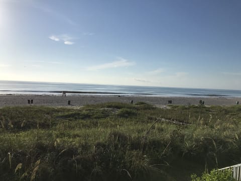 Beach nearby, sun loungers, beach towels