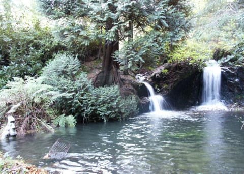 From bench, which is only 25 metres from caravan