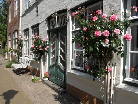 Front view of the house with roses and a historical door.