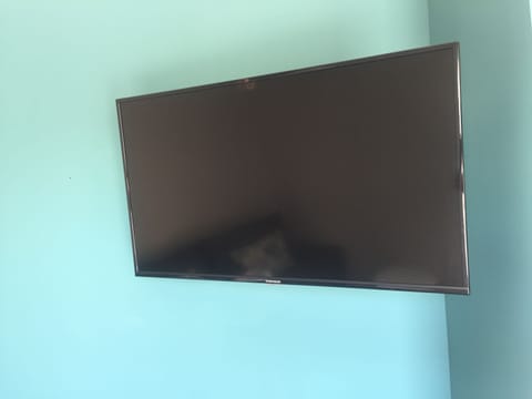 Television