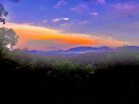 Guest Submission from back porch Spring 2023