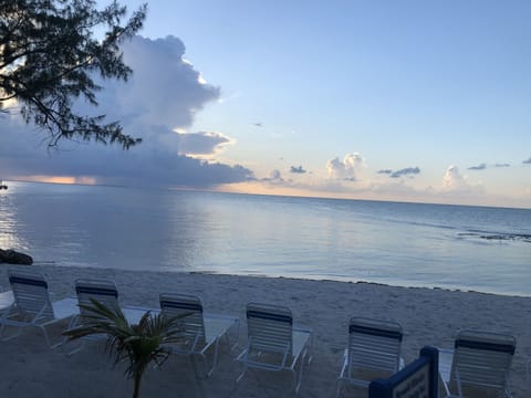 Beach nearby, sun loungers, beach towels