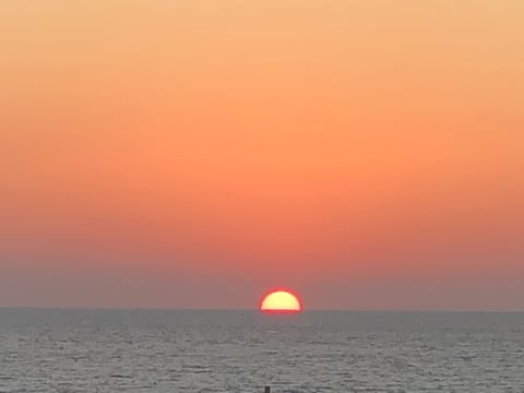 Sun loungers, beach towels