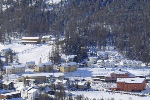 view from Languardmeadow on Chesa Suot God