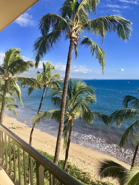 On the beach, sun loungers, beach umbrellas, beach towels