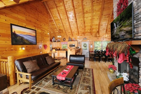 Queen futon sofa in living room