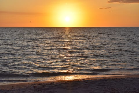 Beach nearby, sun loungers, beach towels