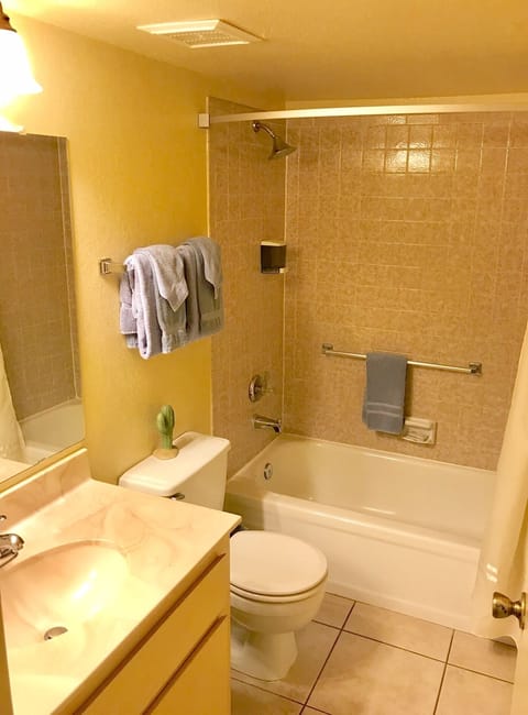 Combined shower/tub, hair dryer, towels, soap