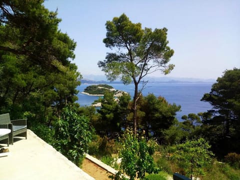 View