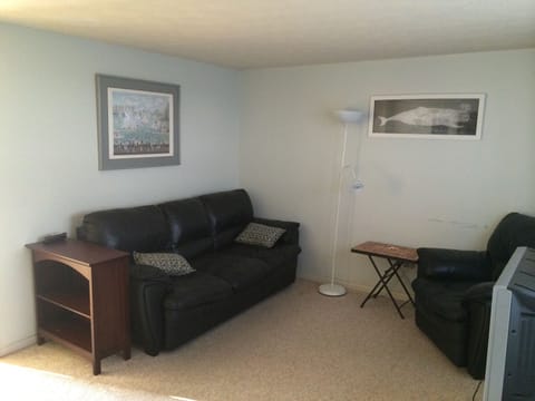 Living room first floor. Flat screen TV is not in this  picture