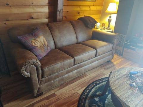 New Sleeper sofa just added