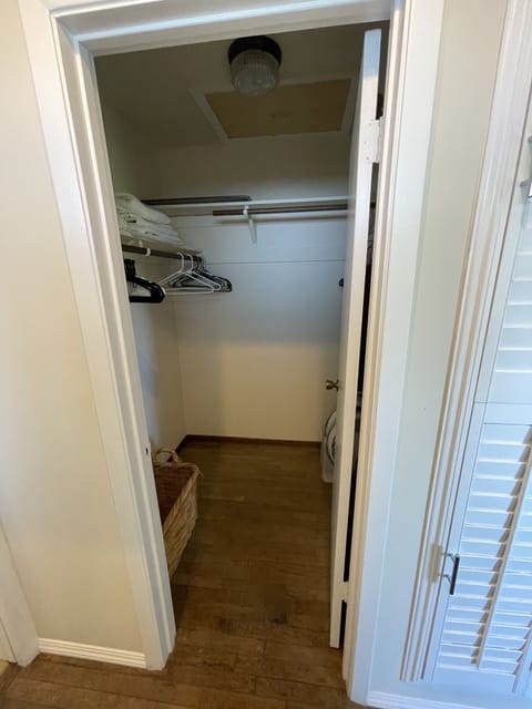 Walk-in closet in Master Bath
