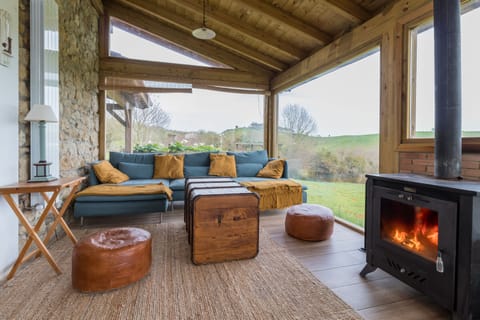 TV, fireplace, books