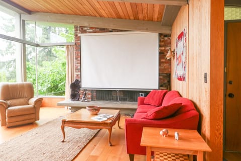 Living Room Movie Screen