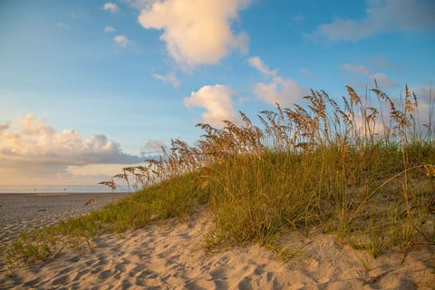 On the beach