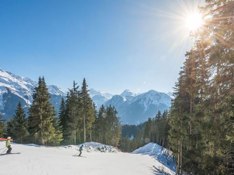 Snow and ski sports