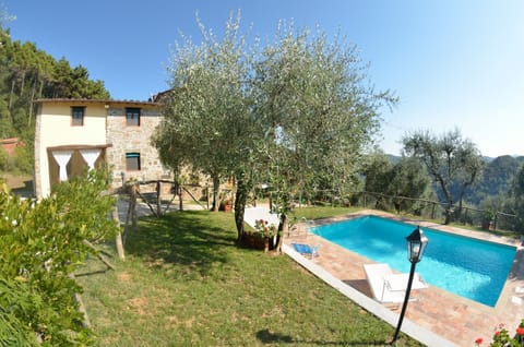 Garden, Outdoor, Pool, Scenic View