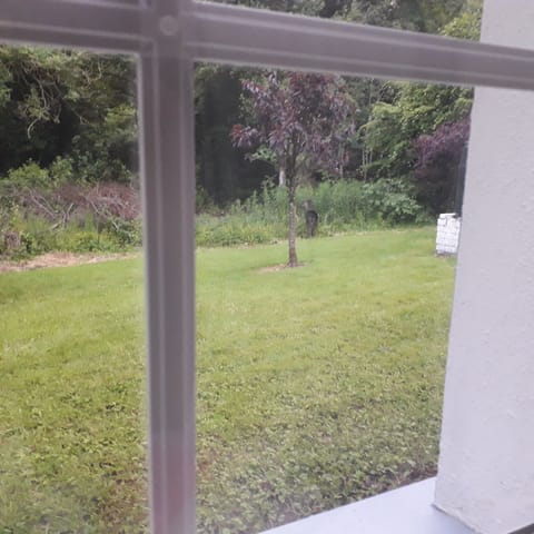 wild deer having their supper.