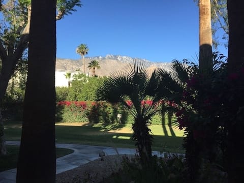 View from unit