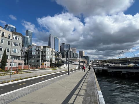 Our flat is directly across the street from the Brand new Seattle Waterfront