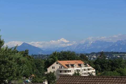 Sunny day from the balcony