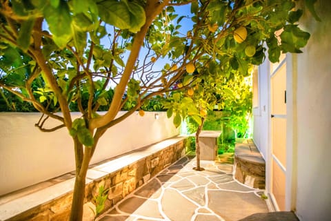 Your room has a beautiful shared garden with lemon trees where you can sit.