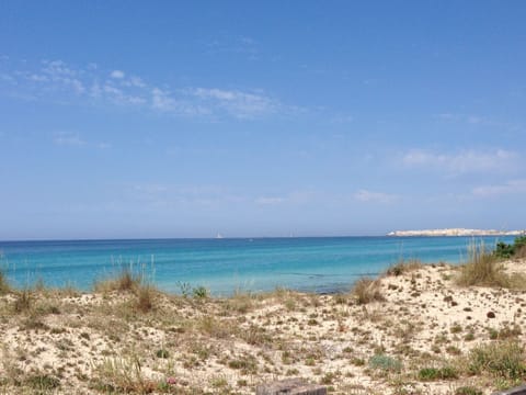 On the beach