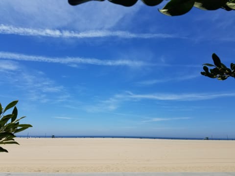 On the beach