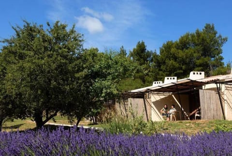 VVF Luberon Provence ** - 2 Rooms 4 People 1 baby Apartment in Gordes