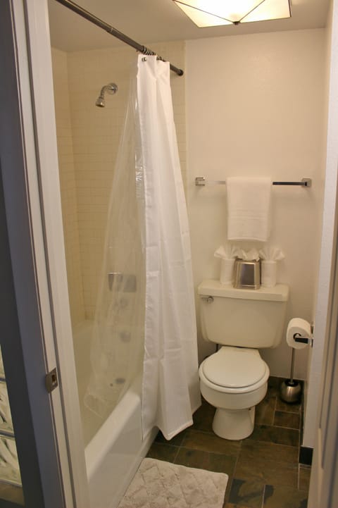 Combined shower/tub, hair dryer, towels