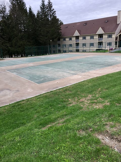 Sport court