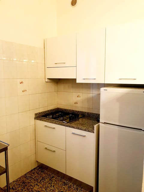 Fridge, stovetop, cookware/dishes/utensils